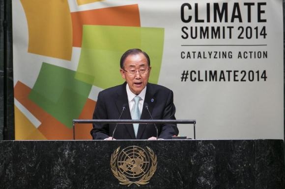 UN climate summit pledges to reduce deforestation - ảnh 1